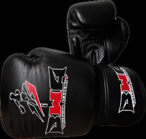 Muay Thai Gloves